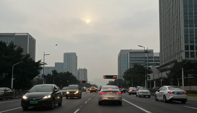 区域差异如何影响行业分类信息的准确性